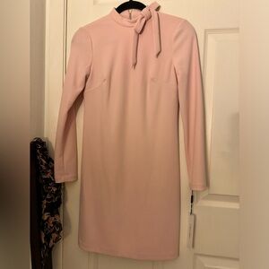 Calvin Klein Pink Dress
